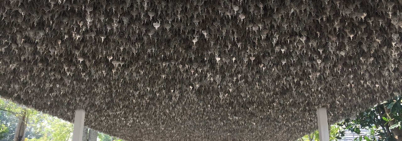 Sit doloremque distinctio eius neque incidunt.